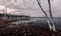 I Will Find You