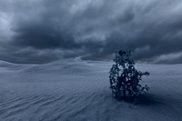 A Grey Day I