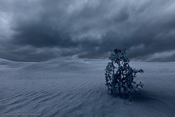 A Grey Day I
