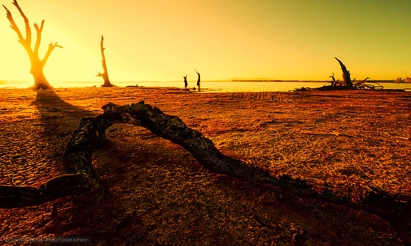 The Glorious Dawn on Dead Wood