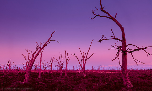 Dusk Decends on Dumbleyung