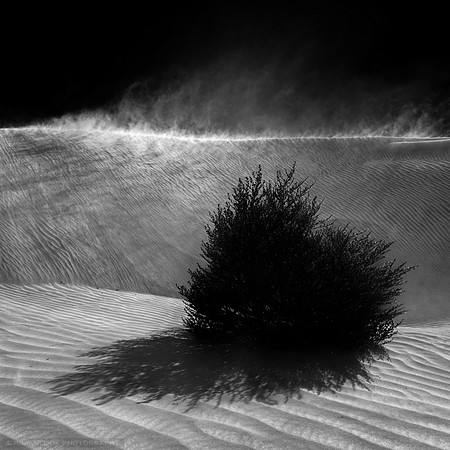 Sand Storm