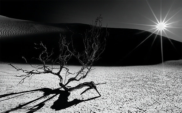 Desert Sunset - Multiple Awards - 2015