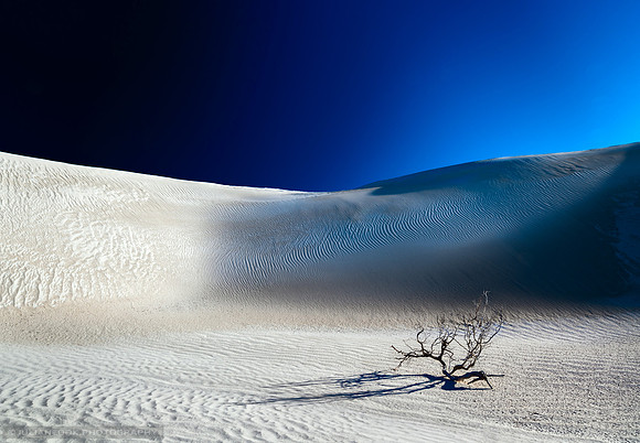 Desert Branch Void - Multiple Awards - 2015
