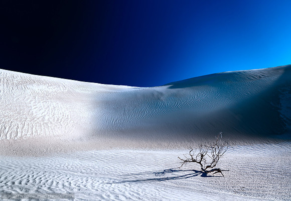 Desert Branch Void