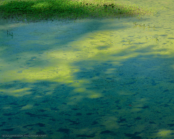 Lake Light 8
