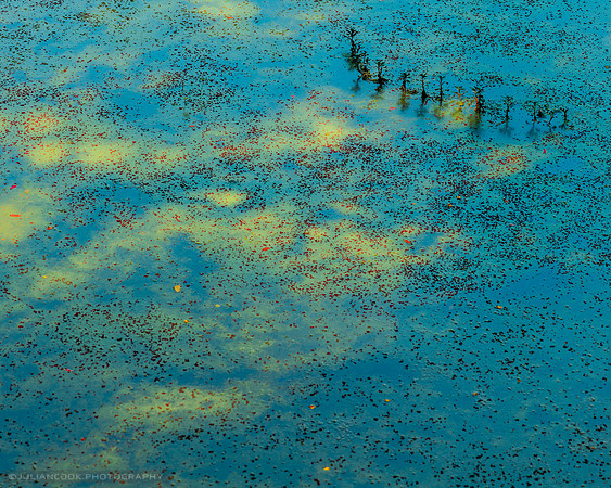 Lake Light 4