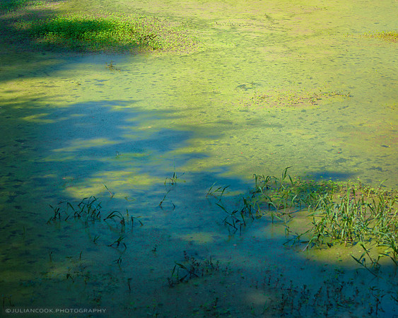 Lake Light 10